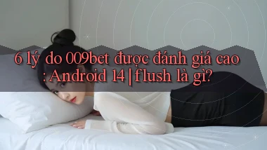 6 lý do 009bet được đánh giá cao Android 14 flush là gì