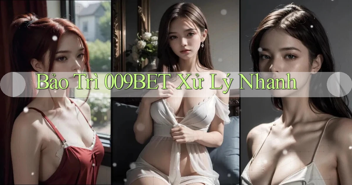 bảo trì 009bet xử lý nhanh