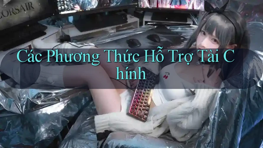 Các Phương Thức Hỗ Trợ Tài Chính