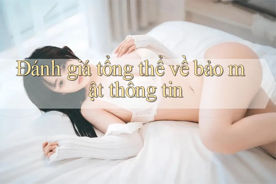 Đánh giá tổng thể về bảo mật thông tin Đánh giá tổng thể về bảo mật thông tin