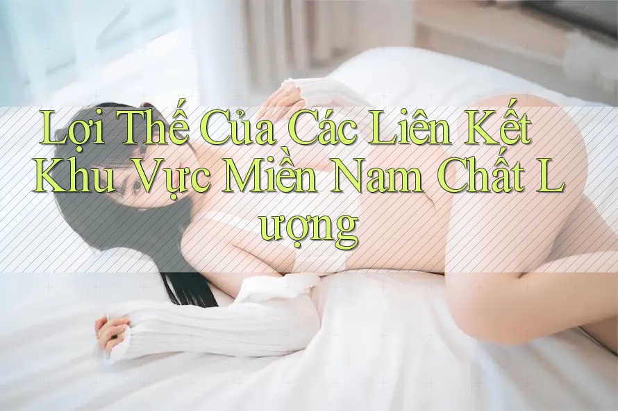 Lợi Thế Của Các Liên Kết Khu Vực Miền Nam Chất Lượng Lợi Thế Của Các Liên Kết Khu Vực Miền Nam Chất Lượng