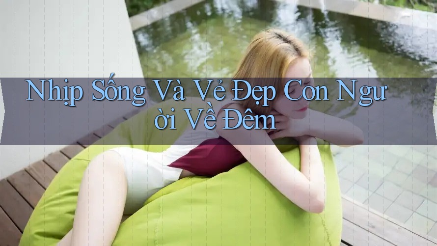 Nhịp Sống Và Vẻ Đẹp Con Người Về Đêm