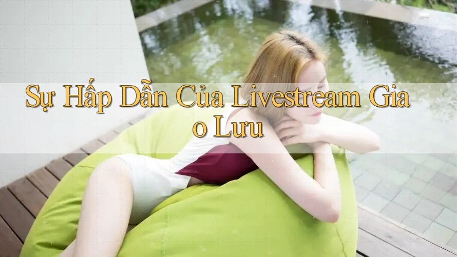 Sự Hấp Dẫn Của Livestream Giao Lưu