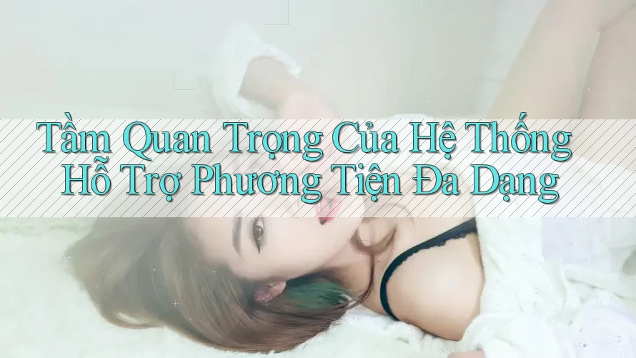 Tầm Quan Trọng Của Hệ Thống Hỗ Trợ Phương Tiện Đa Dạng Tầm Quan Trọng Của Hệ Thống Hỗ Trợ Phương Tiện Đa Dạng
