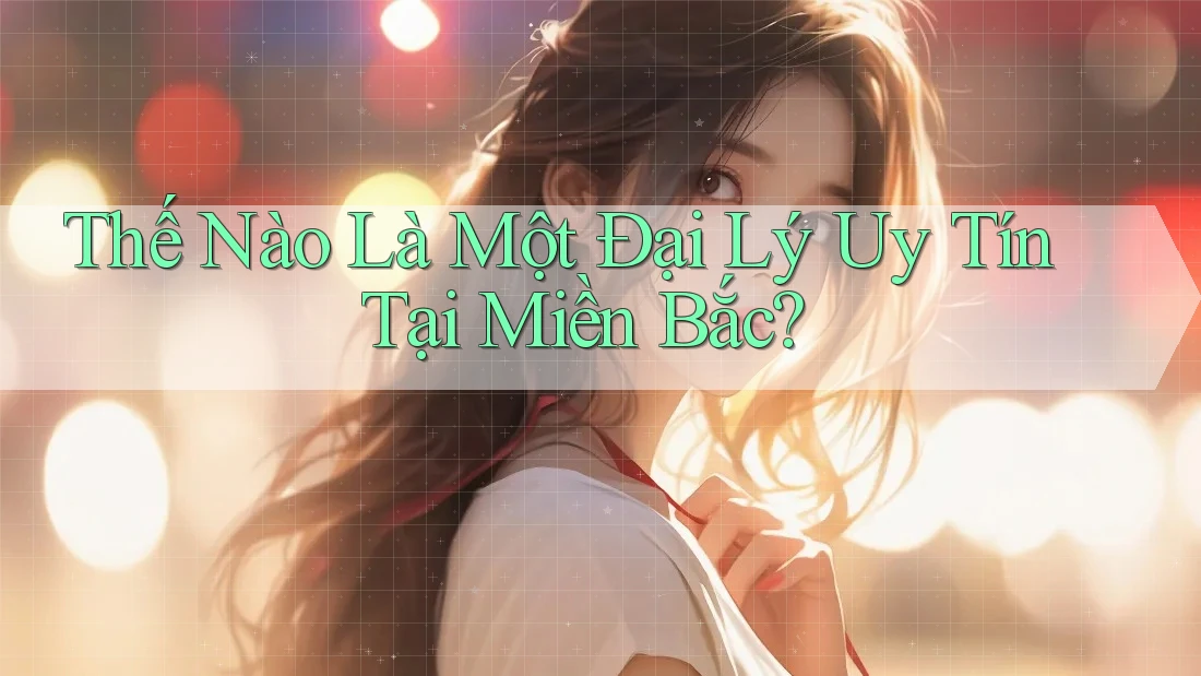 Thế Nào Là Một Đại Lý Uy Tín Tại Miền Bắc?