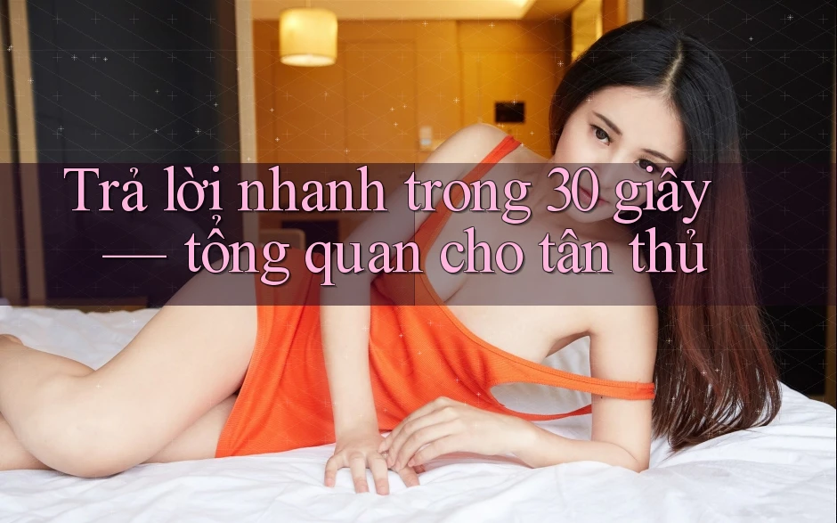 Trả lời nhanh trong 30 giây — tổng quan cho tân thủ