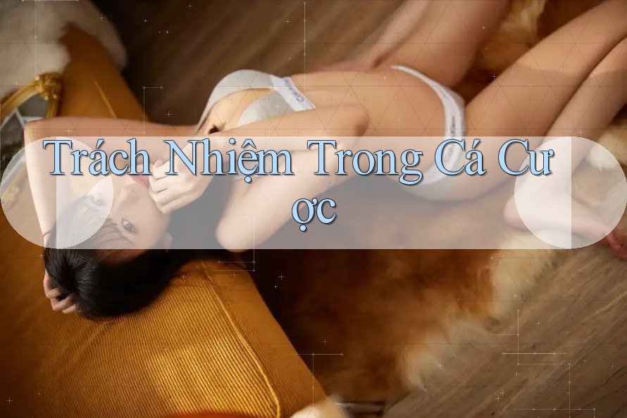 Trách Nhiệm Trong Cá Cược